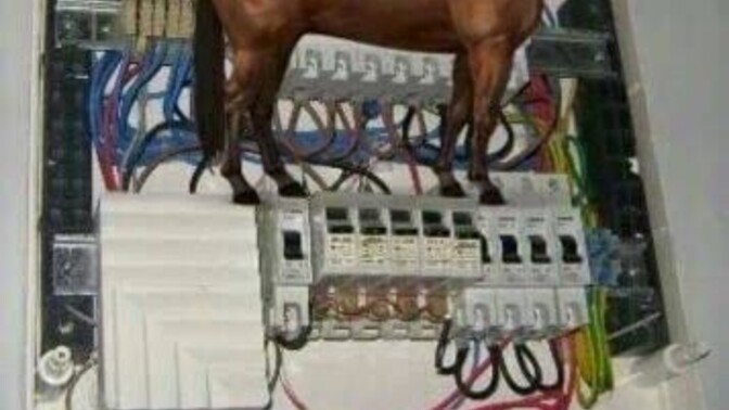 Daha önce hiç sigortan attı mı?