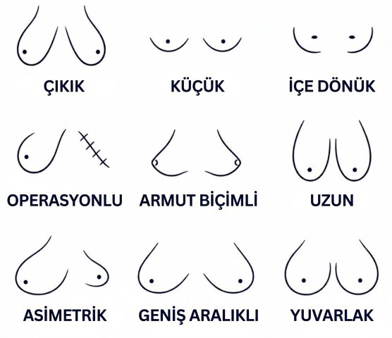 Hangisini beğeniyorsunuz?