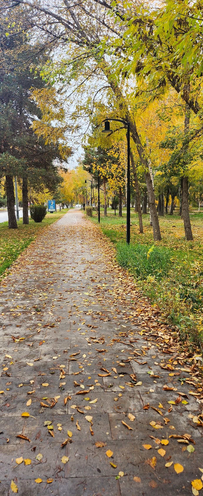 Yağmur, yürüyüş ve özgürlüğün kutlaması daha ne güzel olabilir ki hayatımızda bu gün?