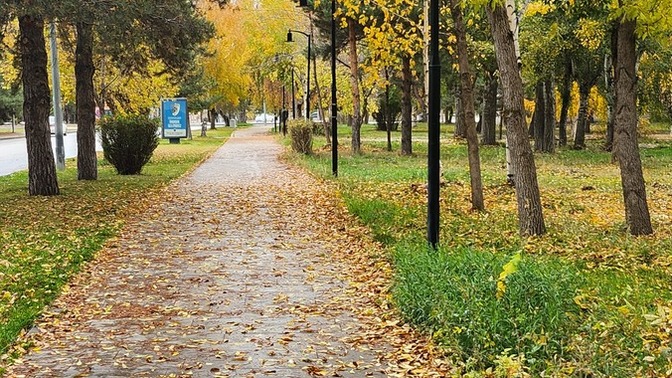 Yağmur, yürüyüş ve özgürlüğün kutlaması daha ne güzel olabilir ki hayatımızda bu gün?