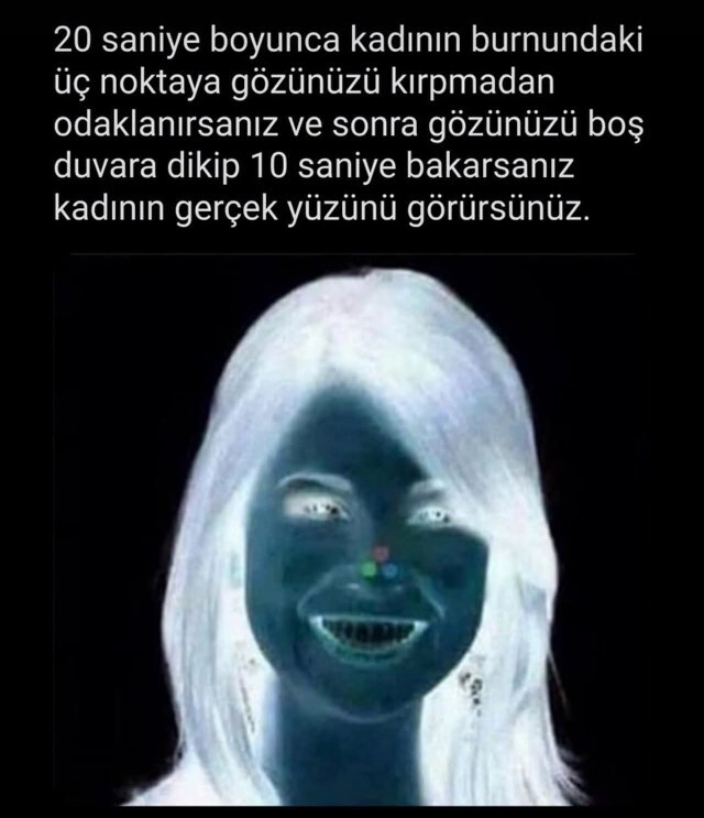 Siz de görsele bakıp denileni yapınca kadını gördünüz mü?