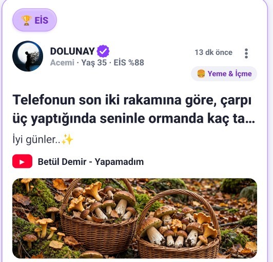 Şu anki şarj yüzdene göre, seninle ormanda kaç mantar toplayıp yemiş oluruz?