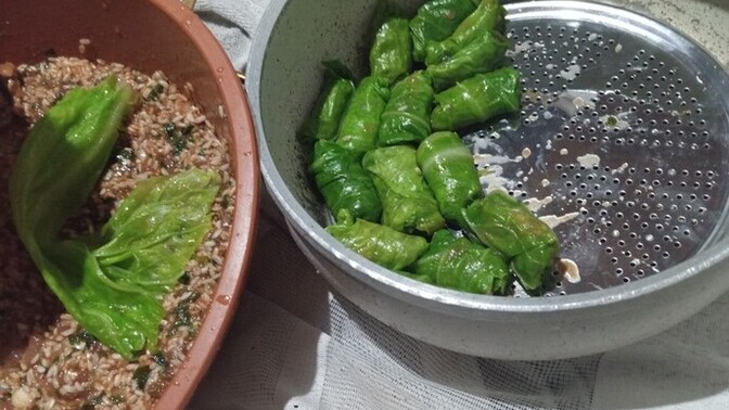 Lahana dolması sever misiniz?