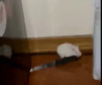 Gece yağmur sesi eşliğinde evde en keyifli ne yapılır?