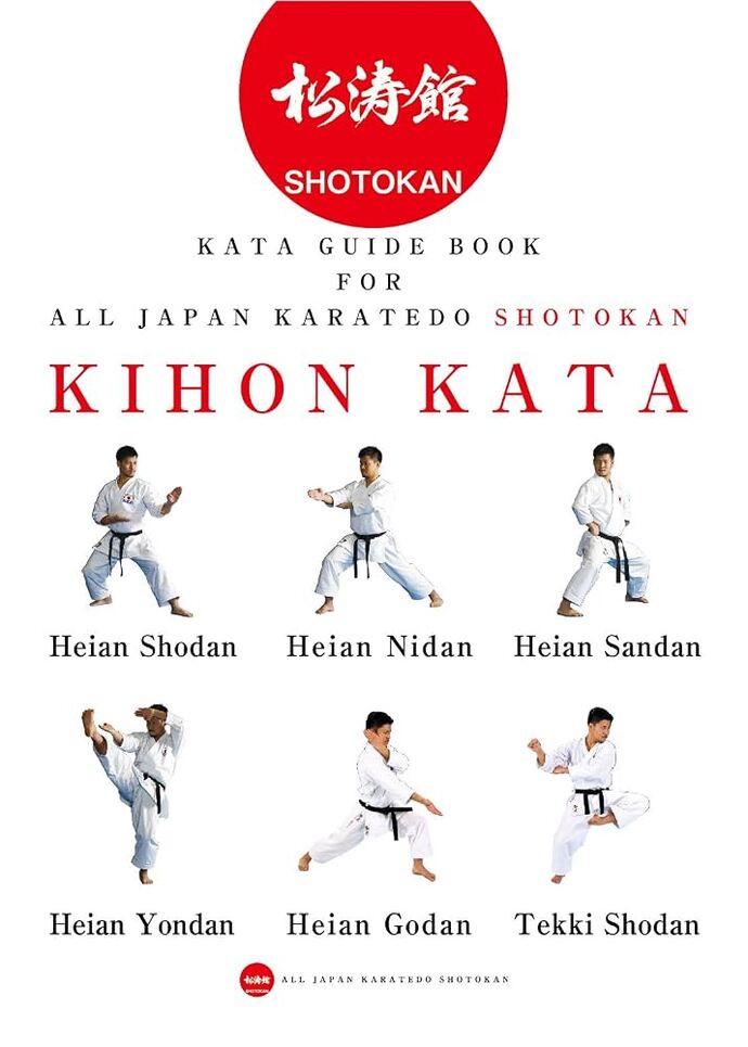 Bacağımı havaya kaldırırsam karate yapmış olur muyum?