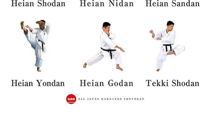 Bacağımı havaya kaldırırsam karate yapmış olur muyum?