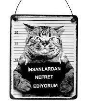 Senin için İntikam almak mı daha tatmin edicidir, hiçbir şey olmamış gibi yoluna devam etmek mi?