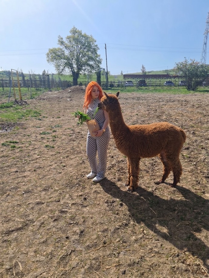 Hayvanları bu kadar çok sevmem normal mi anormal mi?