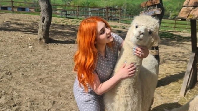 Hayvanları bu kadar çok sevmem normal mi anormal mi?