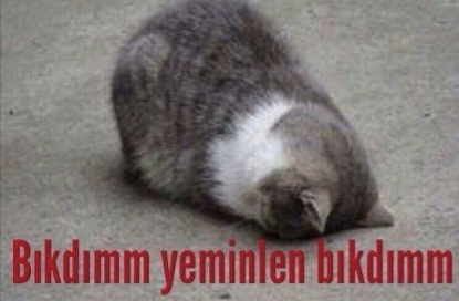Hangi huyunuzdan siz bile bıktınız?