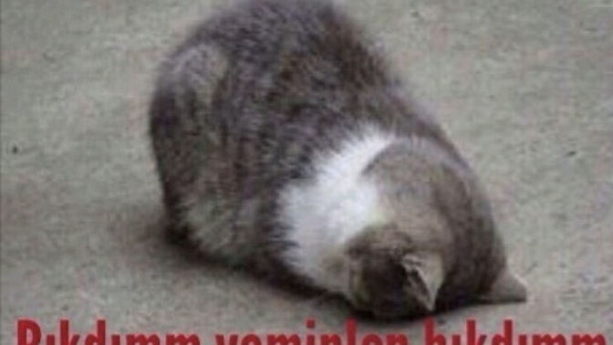 Hangi huyunuzdan siz bile bıktınız?