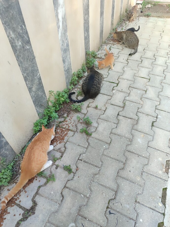 Bakmak zorunda olduğunuz birileri var mı?