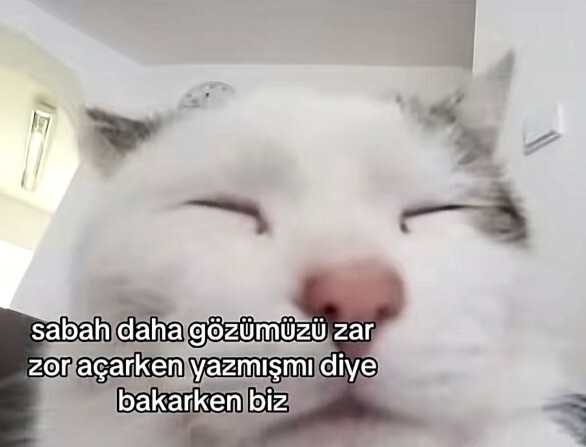 Fotoda ilk ne gördün?