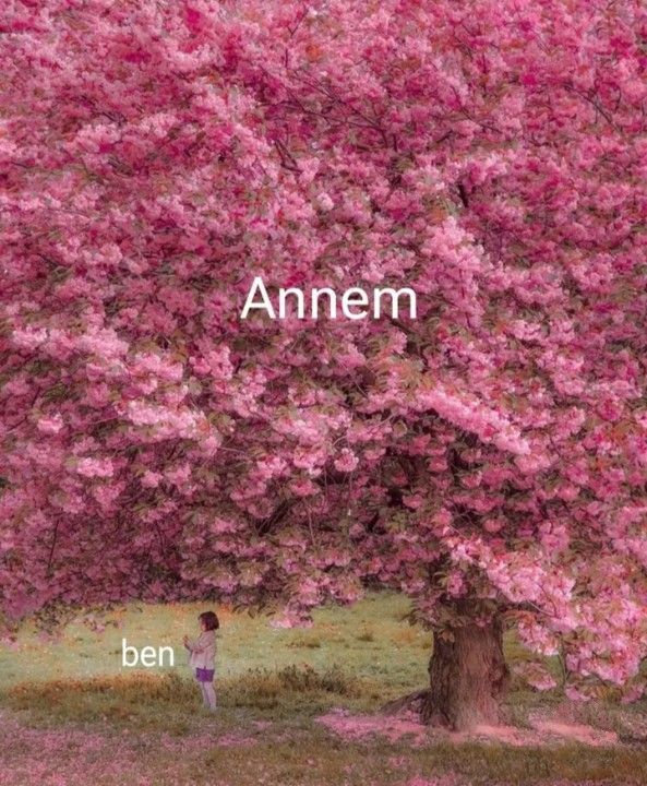 Evimiz neresidir , anne karnı mı birinin yanı mı yoksa dört duvar mı?