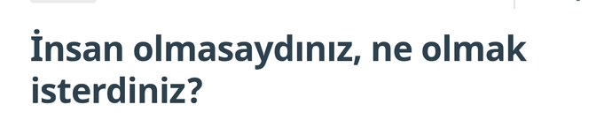 Dün gecenin popüler sorularını şarkıya çevirdim, sizce hangisi daha güzel oldu?