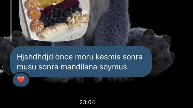 Karda yürüyüp iz belli etmeyengillerden misiniz?