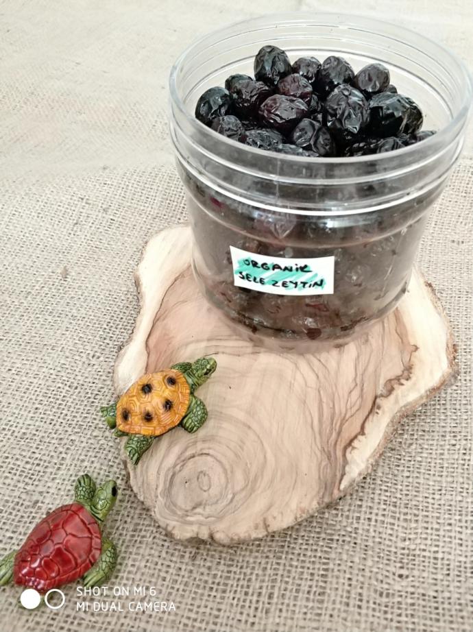 Zeytin buzdolabında mı saklanmalı yoksa dışarıda mı?