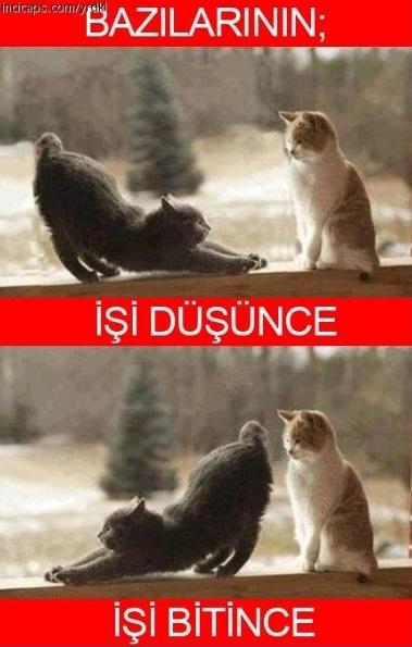 Devir menfaat devri olmuş kimin ne kadar işine yararsan o kadar çok yanında olurmuş sizce?
