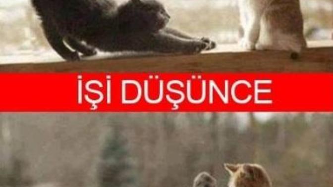 Devir menfaat devri olmuş kimin ne kadar işine yararsan o kadar çok yanında olurmuş sizce?