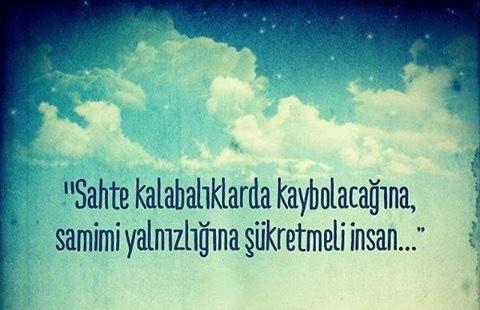 Yalnızlığınızı seviyor musunuz?