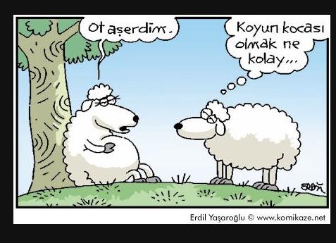Hamilelik geçirmiş pembeli üyelerden cevap istiyorum. Aşermek gerçek mi?