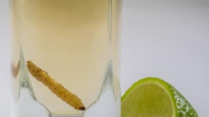 Kurtlu Tekila (=Mezcal?