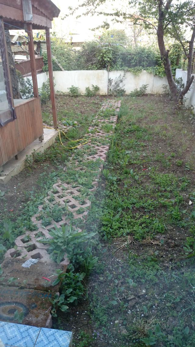 Bahçeme neler ekebilirim?