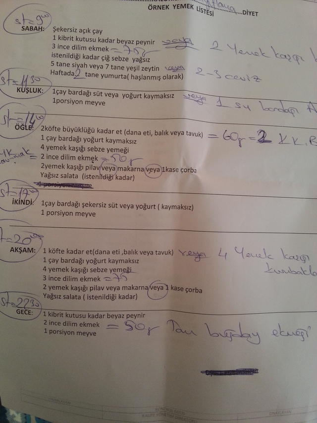 Diyet listem nasil?