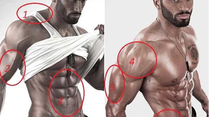Bir erkekte en beğendiğiniz kas hangisidir (resimli anketli)?