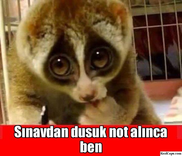 aldığınız en düşük not kaç???