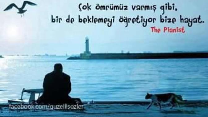 Dut gibi aşık olan biri neden gider?
