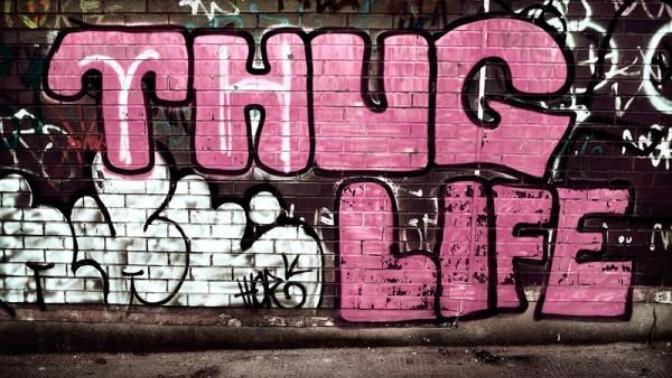 Thug life ne demek?