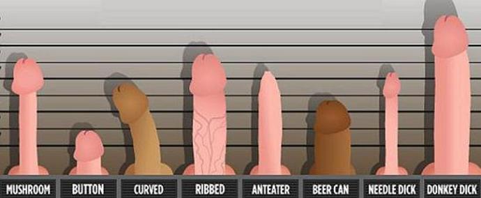 Kızlar, Sizce hangi penis bayanlar? (Grafikli)?