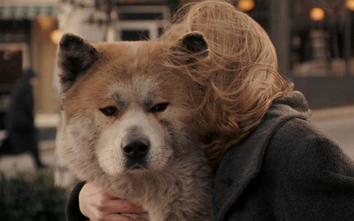 Hachi: A Dog's Tale - Hachi: Bir Köpeğin Hikayesi (2009)