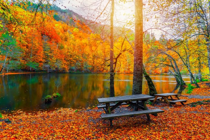 6. Yedigöller Milli Parkı (Doğa Tatili)
