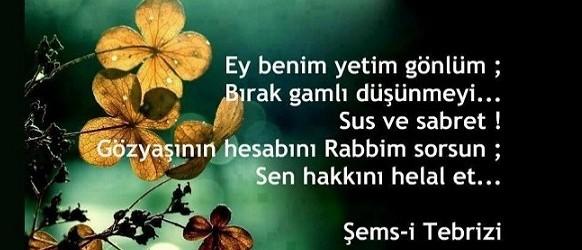 Hakkımı helal etmem dediginiz kimse var mı ve sebebi neydi?