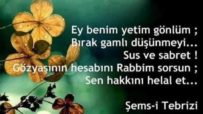 Hakkımı helal etmem dediginiz kimse var mı ve sebebi neydi?