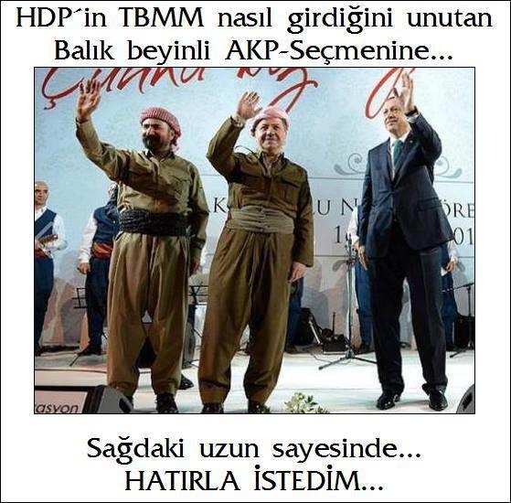 HDP Meclise nasıl girdi ?
