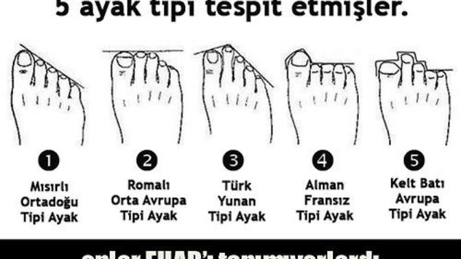 Sizin ayak tipiniz hangisi?