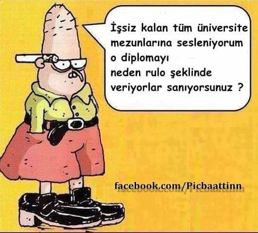 İşsiz üniversite mezunu gençler sizcede durumu en iyi özetleyen bu karikatür değil mi?
