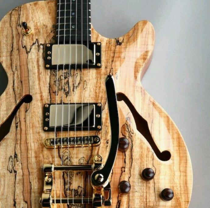 Eğer yeni bir müzik aleti icad etmeniz istendi sesini neye benzetirdiniz ?
