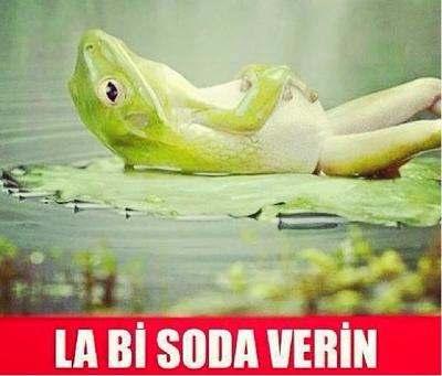 La  bir  soda verin...  yok mu :?