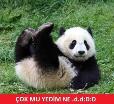 Iftardan sonra genelde ne yapıyorsunuz ?