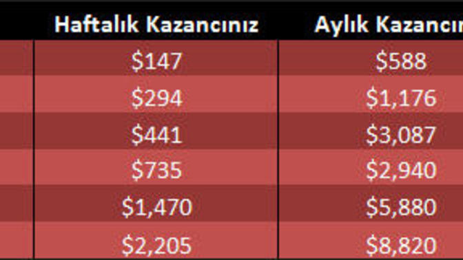 Satış ortaklığından para kazanan var mı hiç?