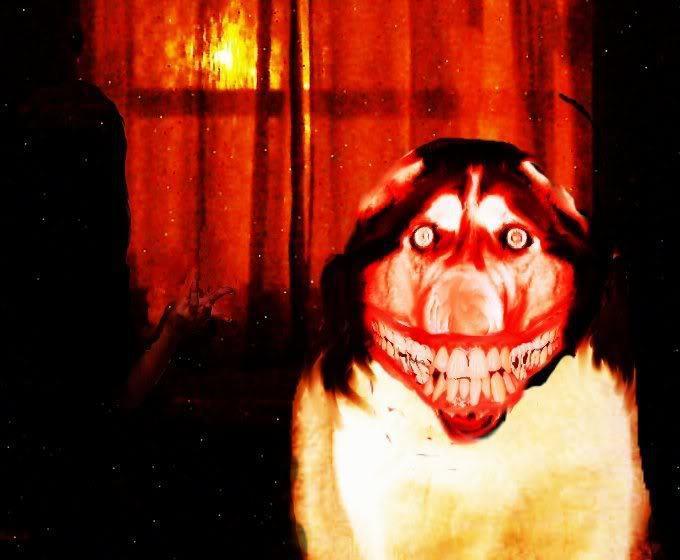 Smile dog nedir?