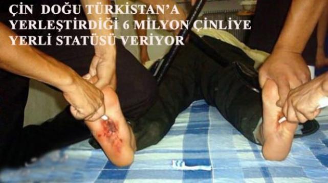 Kimse yardım etmeyecek mi? Bu nasıl insanlık. Ne iğrenç insanlar?