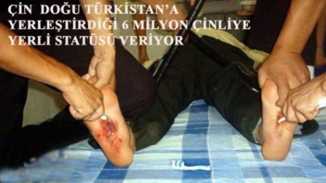Kimse yardım etmeyecek mi? Bu nasıl insanlık. Ne iğrenç insanlar?