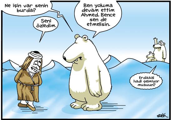 Çölde kutup ayısı görsen ne yaparsın :) ?