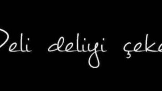 Deli deliyi çeker sözü ne kadar doğru?