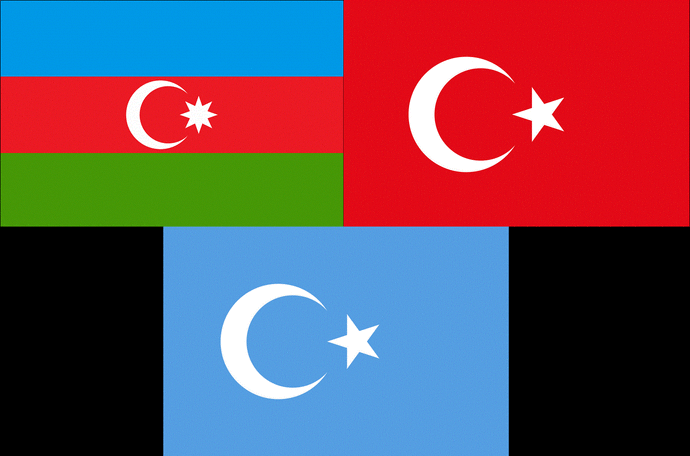 Doğu Türkistanlı kandaşlarımızı öldürüyorlar biz bu duruma neden el atmıyoruz ?